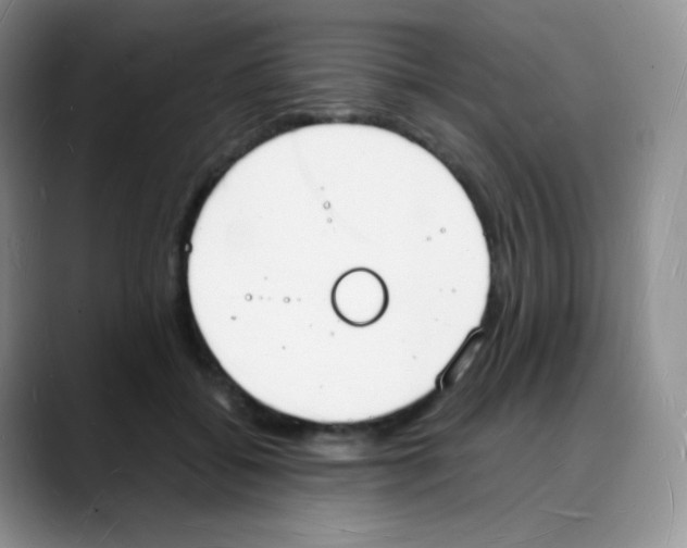 X0000088070556200706081712