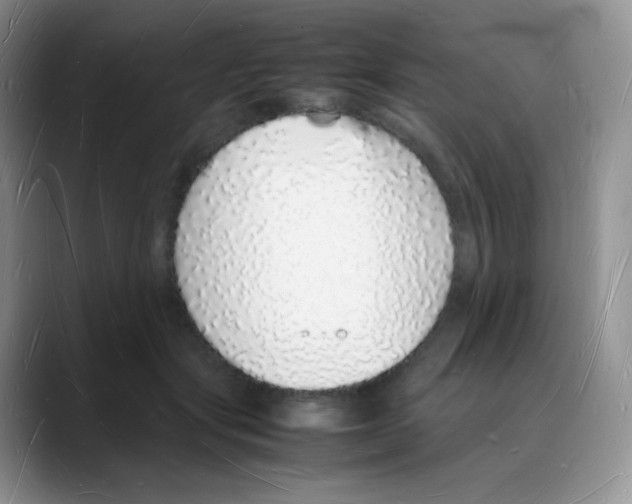X0000088070557200706081712