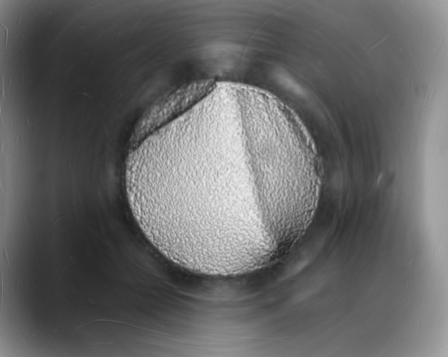 X0000088070558200706081712
