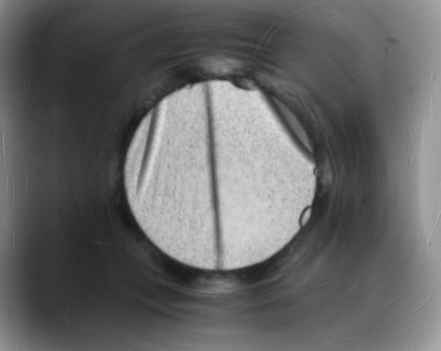 X0000088070559200706081712