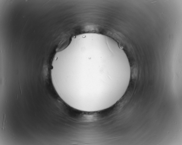 X0000088070560200706081712