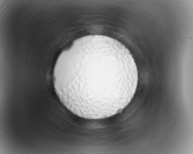 X0000088070561200706081712