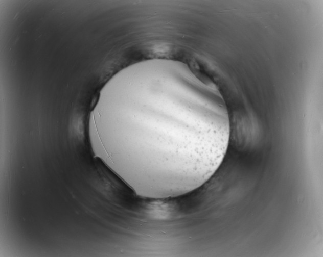 X0000088070562200706081712