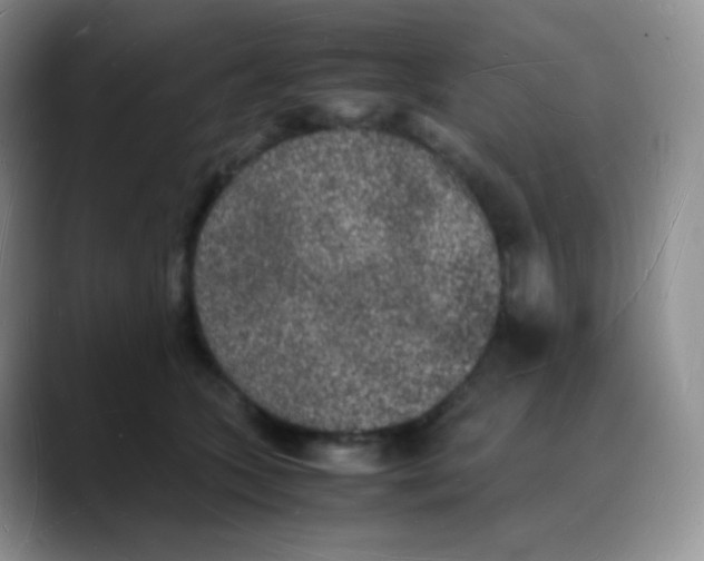 X0000088070563200706081712