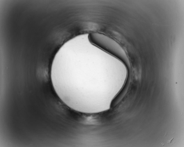 X0000088070564200706081712