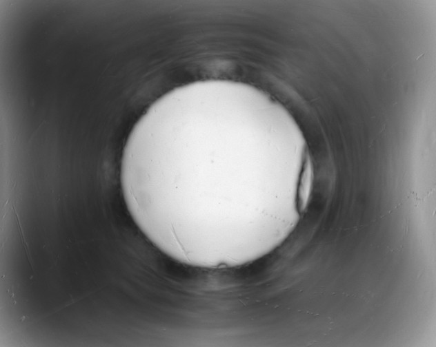 X0000088070565200706081712