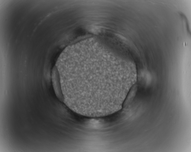 X0000088070566200706081712