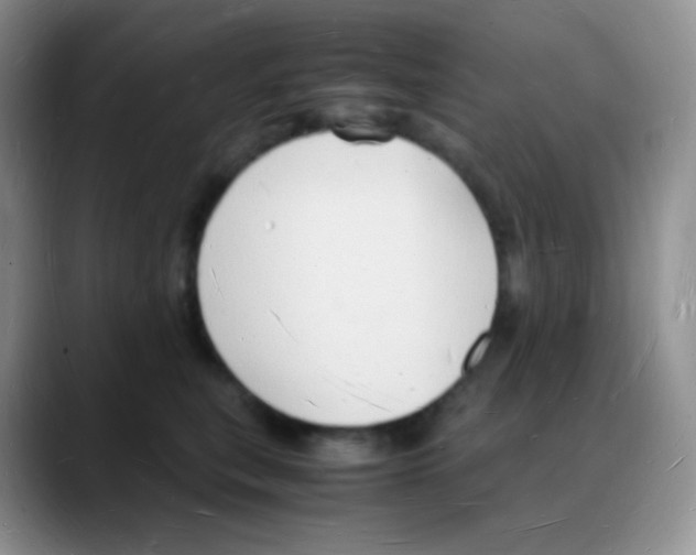 X0000088070567200706081712