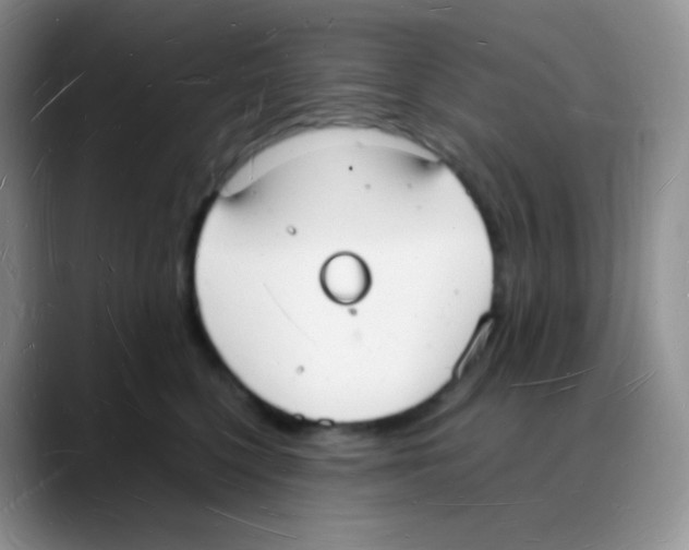 X0000088070568200706081712