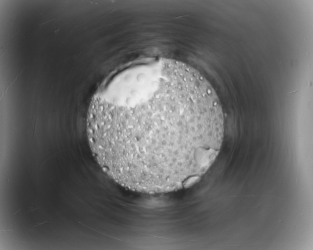 X0000088070569200706081712