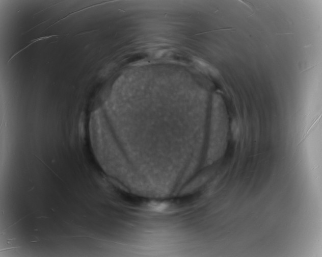 X0000088070570200706081712