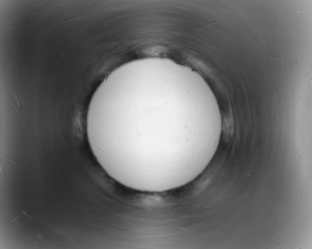 X0000088070572200706081712