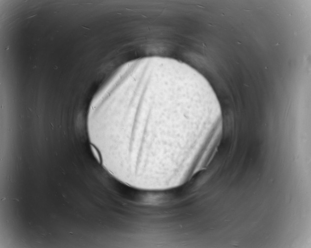X0000088070575200706081712