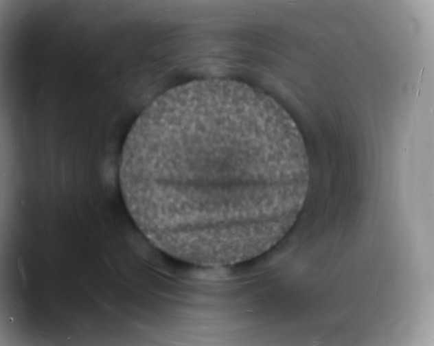 X0000088070576200706081712