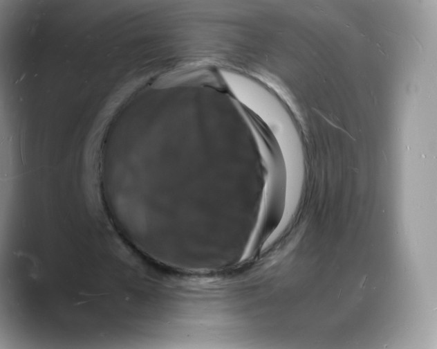 X0000088070577200706081711