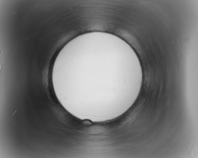 X0000088070578200706081711