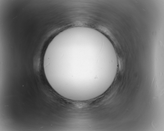 X0000088070579200706081711
