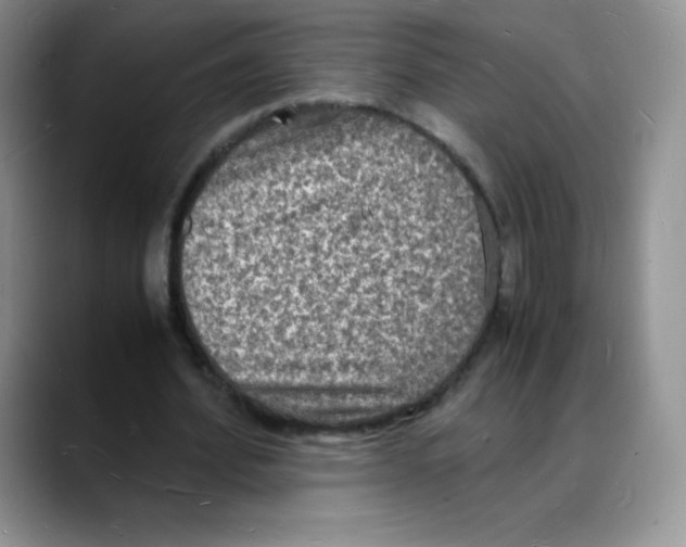 X0000088070580200706081711