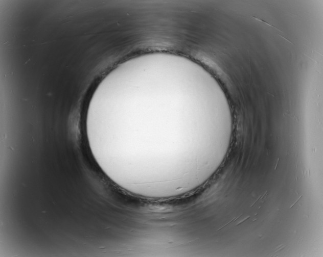 X0000088070582200706081711