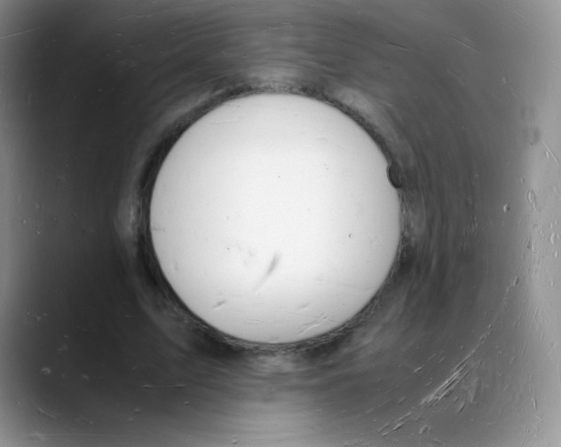 X0000088070583200706081711