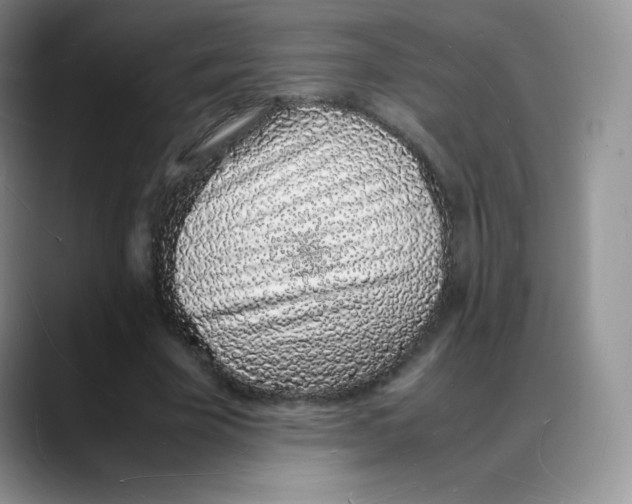 X0000088070585200706081711