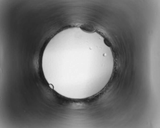 X0000088070586200706081711