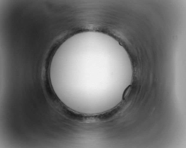 X0000088070587200706081711
