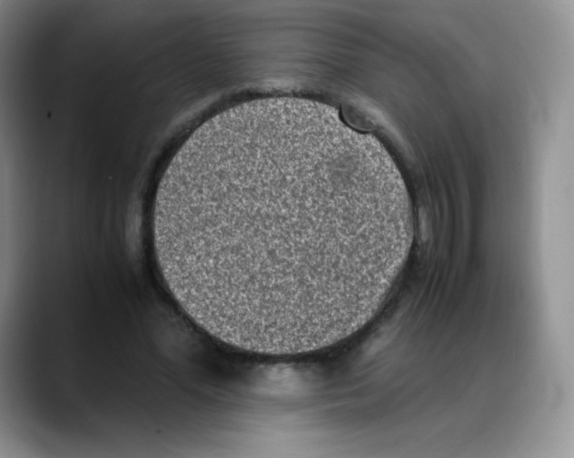 X0000088070588200706081711