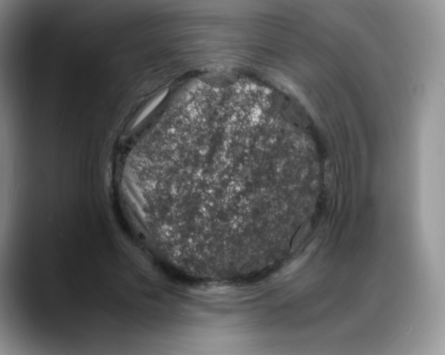 X0000088070589200706081711