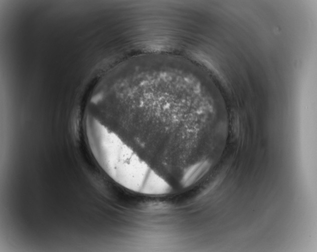 X0000088070590200706081711