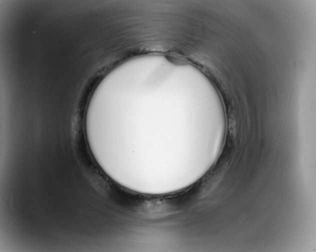 X0000088070591200706081711