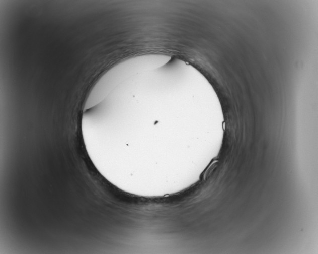 X0000088070593200706081711