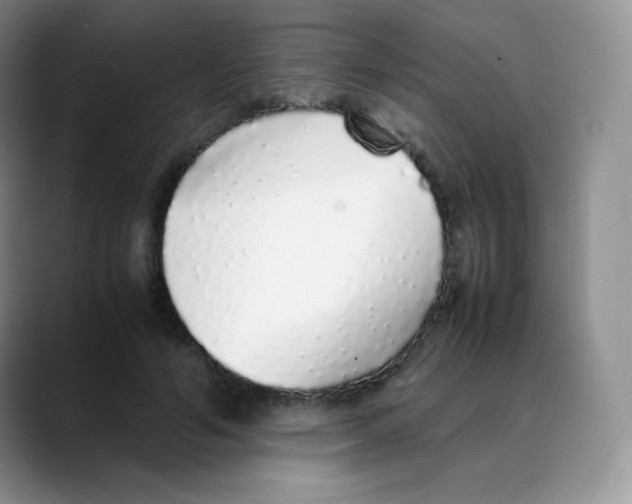 X0000088070594200706081711
