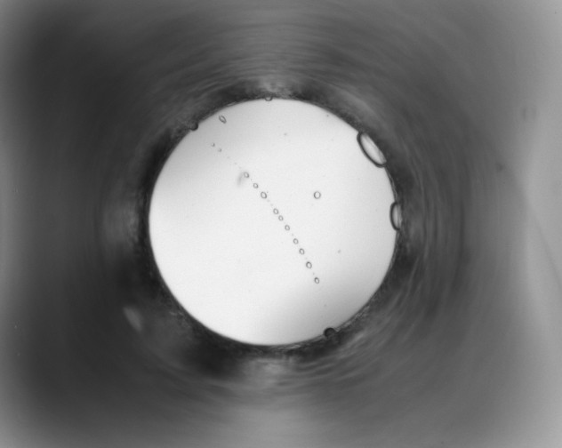 X0000088070595200706081711