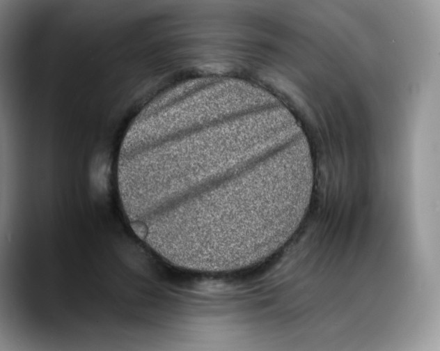X0000088070596200706081711