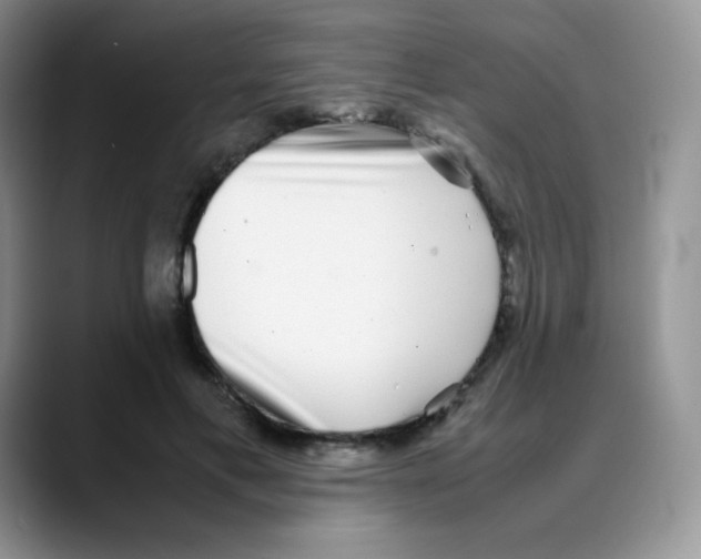 X0000088070597200706081711
