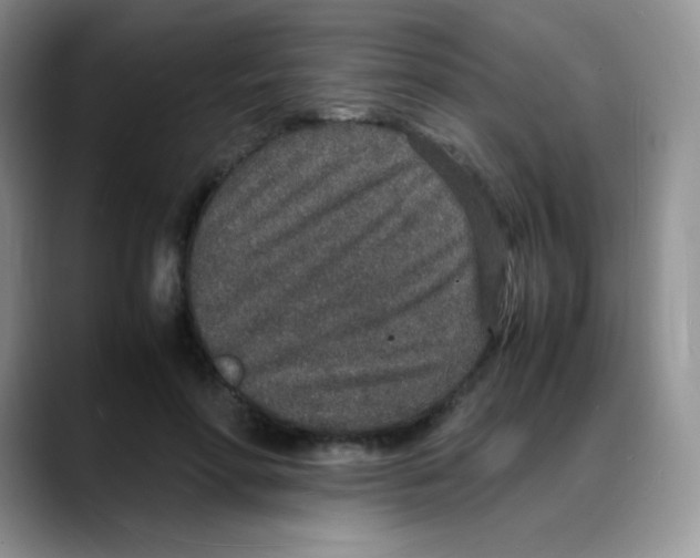 X0000088070598200706081711