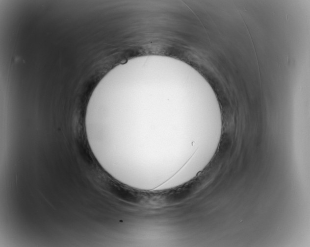 X0000088070599200706081711