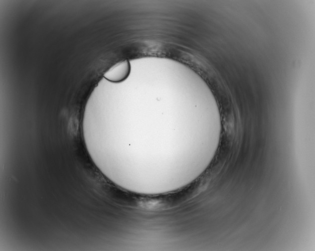 X0000088070602200706081711
