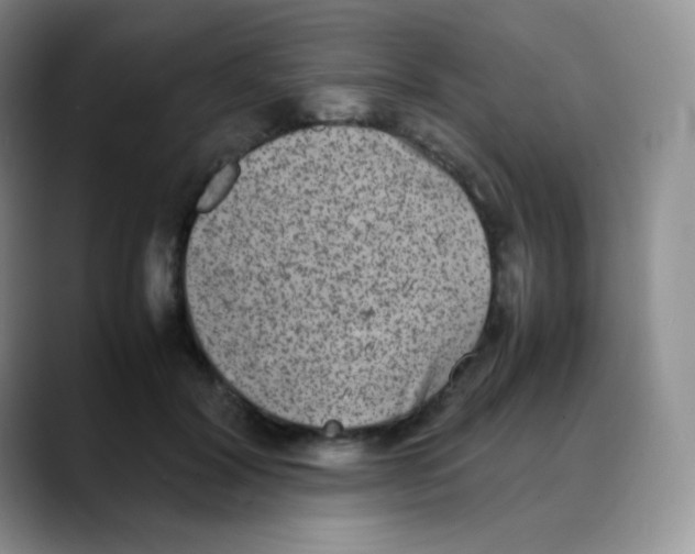 X0000088070604200706081711