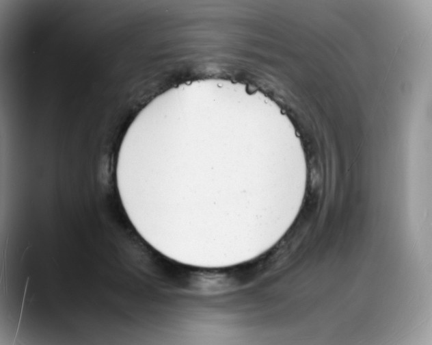 X0000088070605200706081711