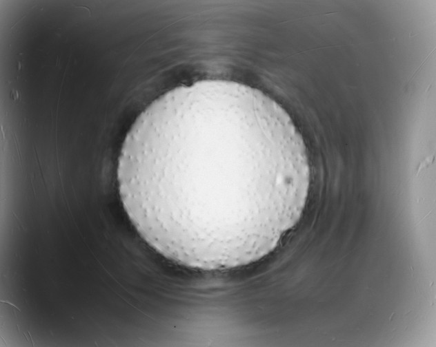 X0000088070609200706081711