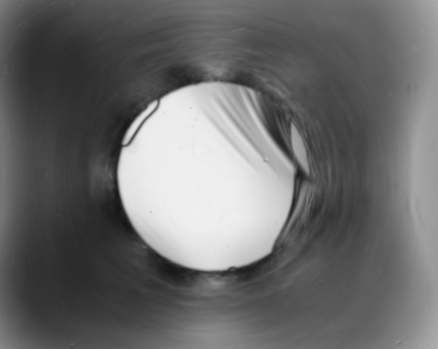 X0000088070613200706081711