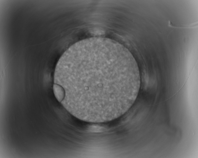 X0000088070614200706081711