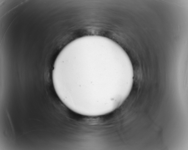 X0000088070615200706081711