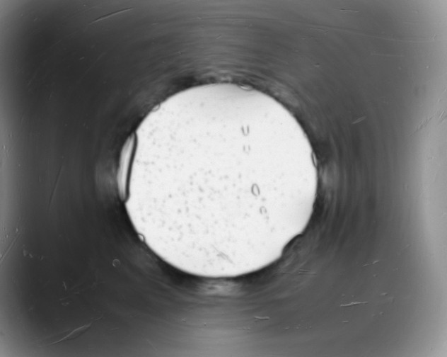 X0000088070617200706081711