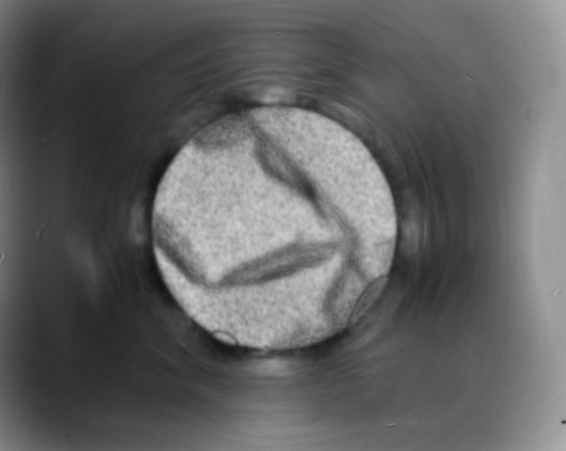 X0000088070620200706081711