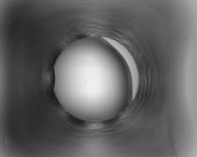 X0000088070621200706081711