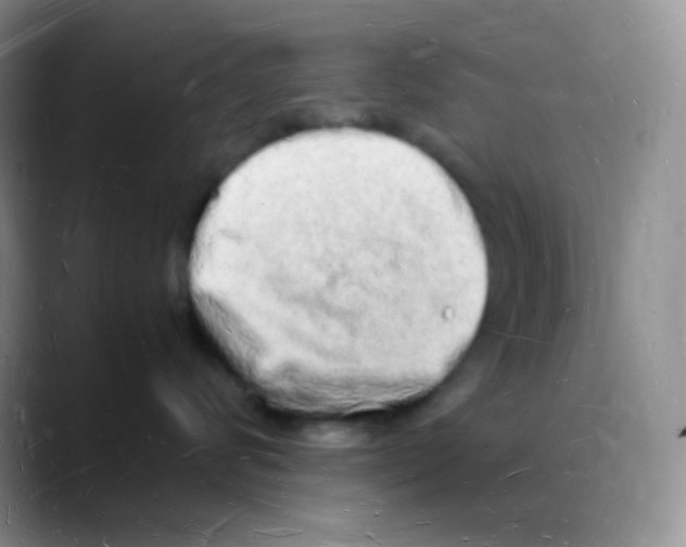 X0000088070624200706081711