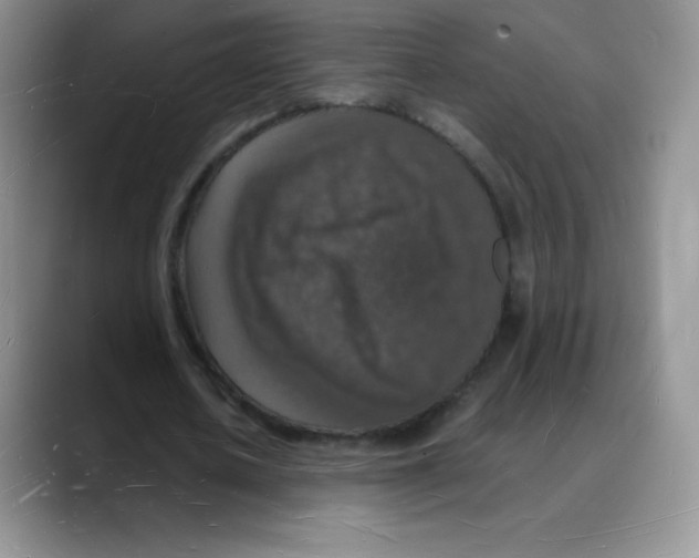X0000088070626200706081710